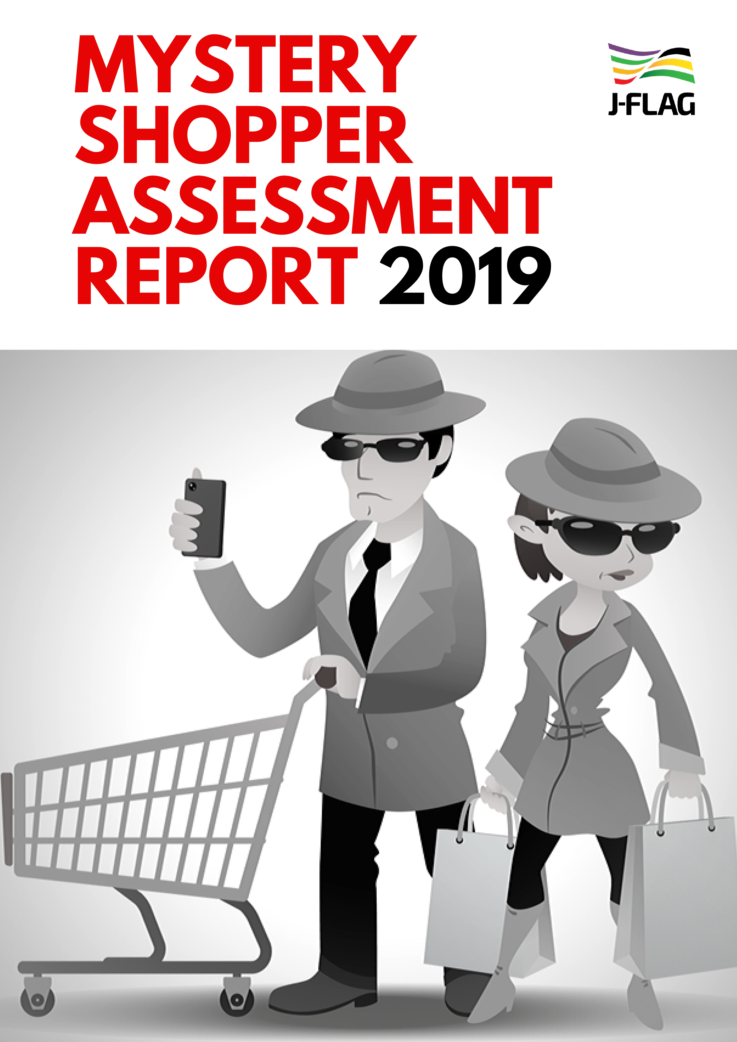 Mystery Shopper Assessment Report