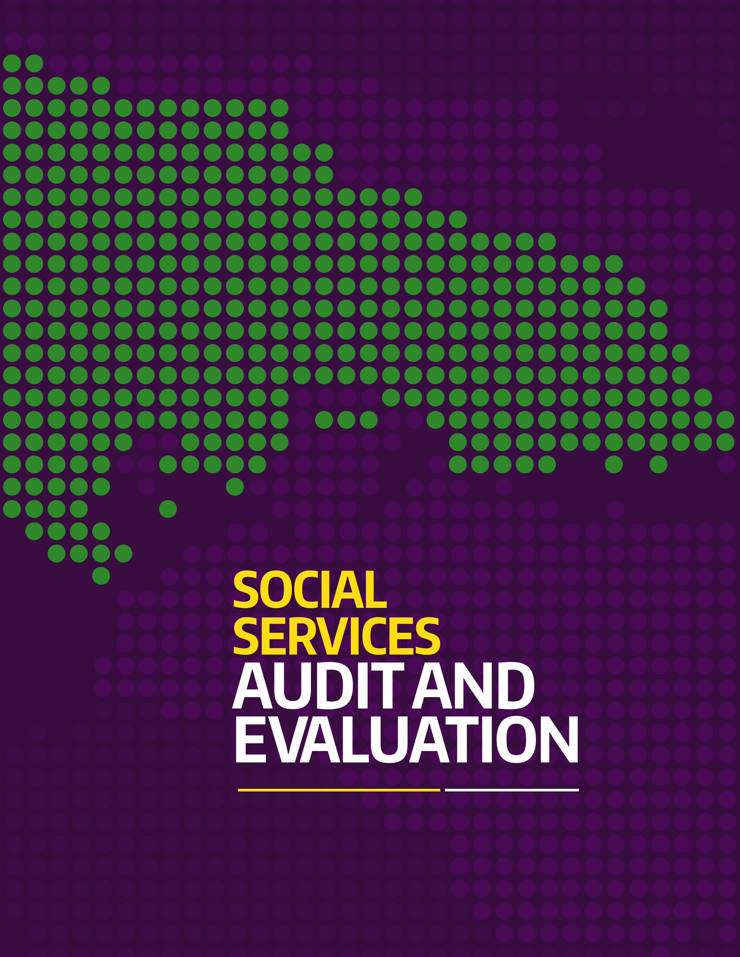 Social Services Audit