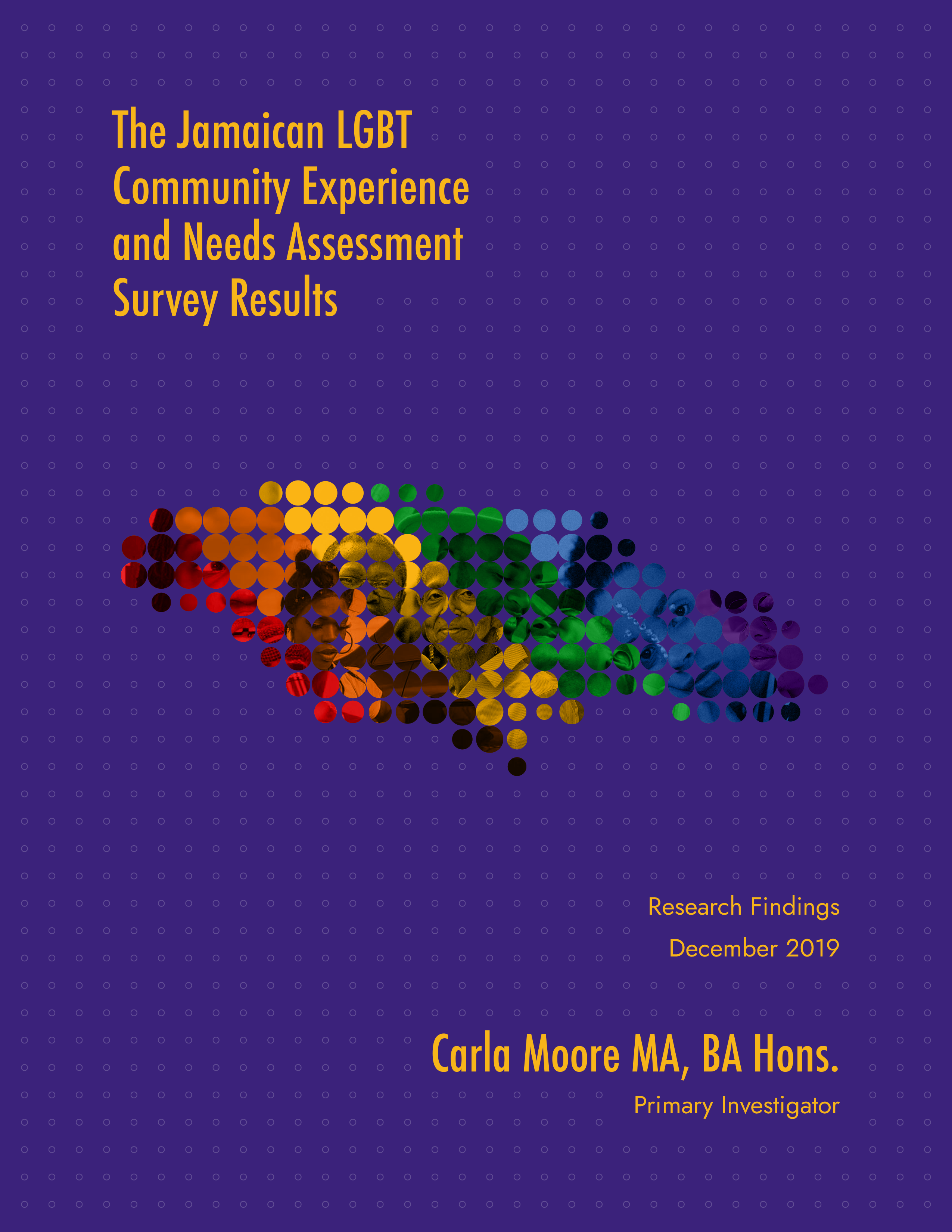 The Jamaican LGBT Community Experience and Needs Assessment Survey Results
