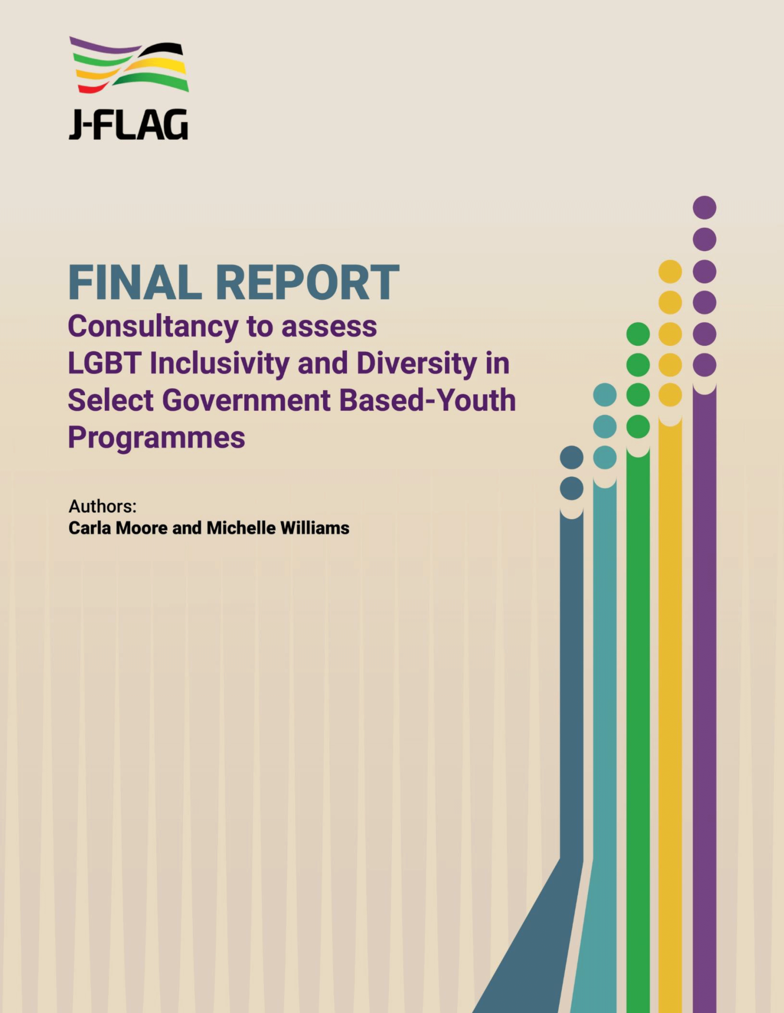 Youth Inclusivity and Diversity Study